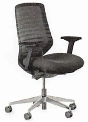 Ergonomic Chairs